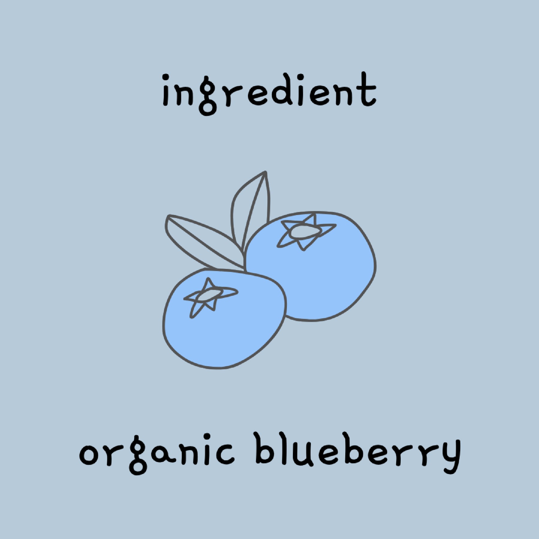 smoothie bites Blueberry