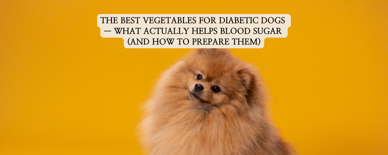 A fluffy brown Pomeranian dog looking curious on a vibrant yellow background, with a text box overlay that reads: 'THE BEST VEGETABLES FOR DIABETIC DOGS — WHAT ACTUALLY HELPS BLOOD SUGAR (AND HOW TO PREPARE THEM)'.