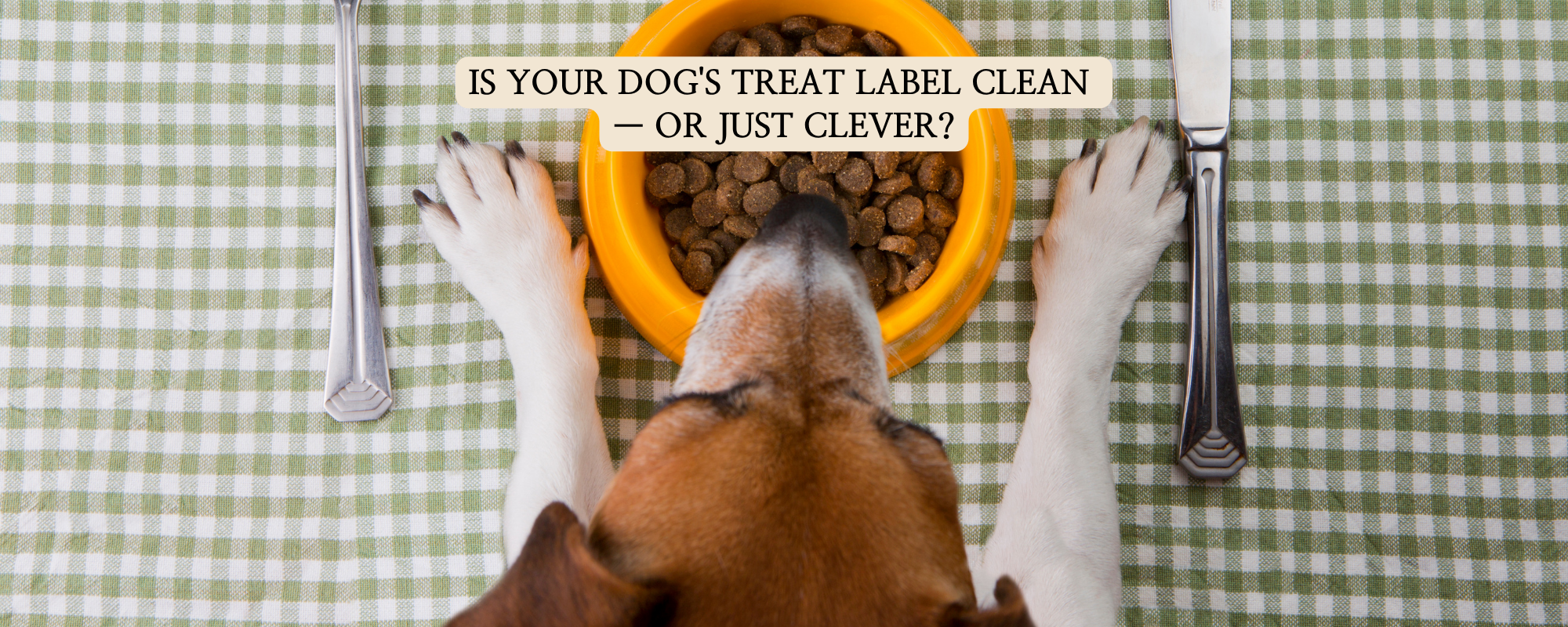 Top-down view of a dog sitting at a dining table with a fork and knife, eating from a bowl, suggesting a human-grade experience, with text overlay: 'Is Your Dog's Treat Label Clean — or Just Clever?'.