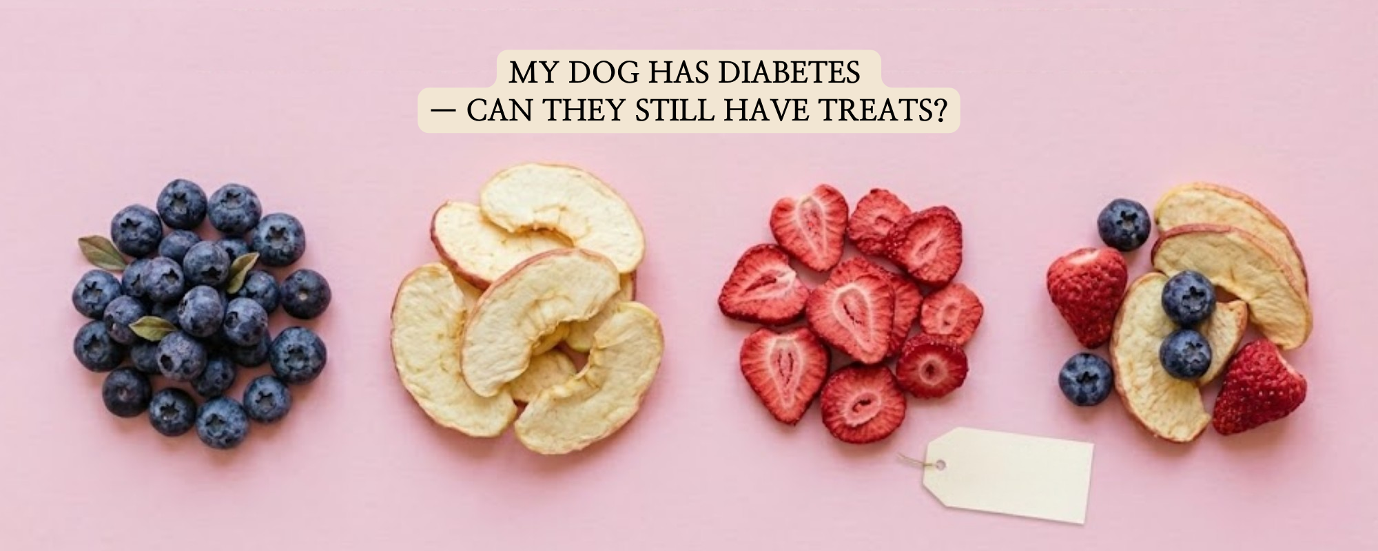 Top view of various organic freeze-dried fruits including blueberries, apples, and strawberries arranged on a pink background, with the title "MY DOG HAS DIABETES — CAN THEY STILL HAVE TREATS?"