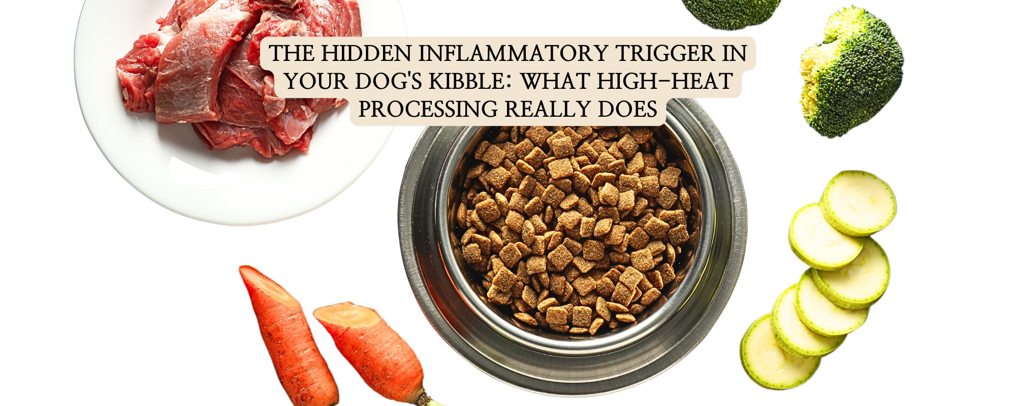 Comparison of raw ingredients like fresh beef and broccoli versus high-heat extruded dog kibble, illustrating the formation of inflammatory Advanced Glycation End-products (AGEs).