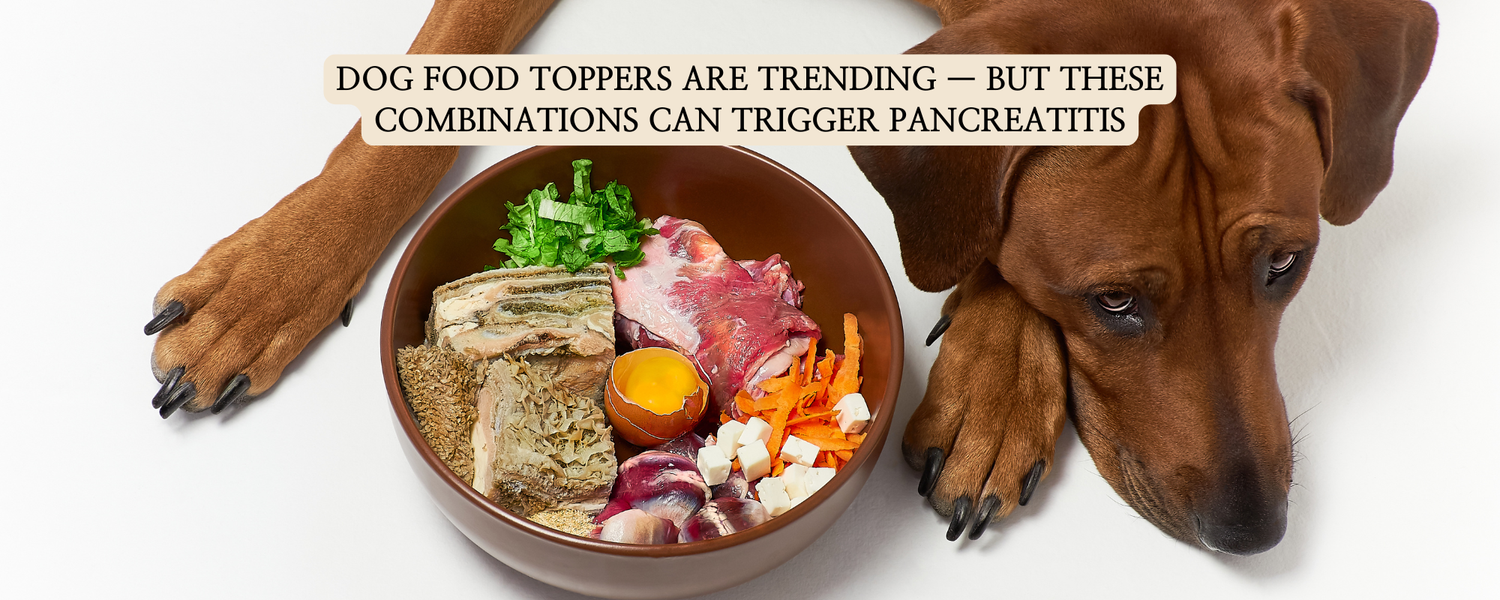 A high-angle shot of a brown dog lying on a clean white surface, next to a large brown bowl packed with various raw dog food toppers like chunks of raw meat, chopped green vegetables, shredded carrots, diced cheese, and a raw egg yolk in its shell