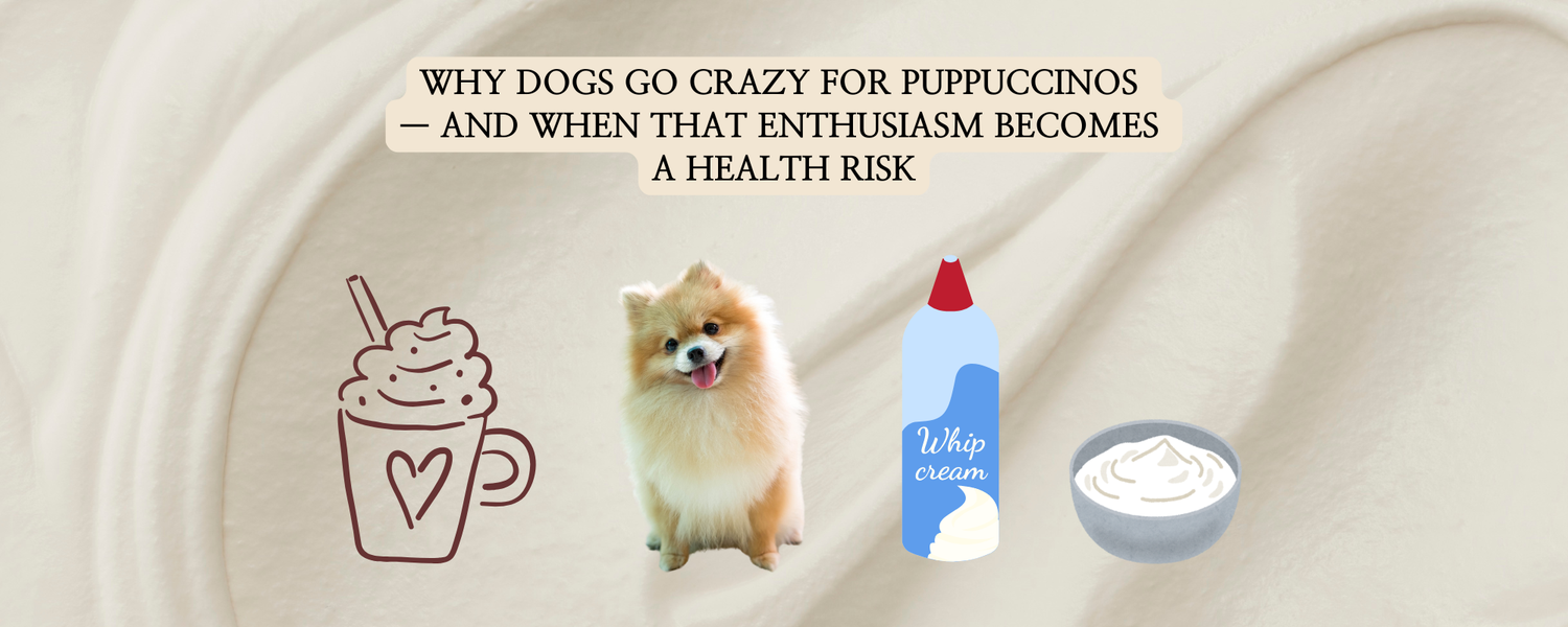 A blog thumbnail featuring a fluffy Pomeranian dog sitting between an illustration of a whipped cream cup and a whip cream bottle, set against a creamy swirl background. The image discusses why dogs love puppuccinos and their associated health risks.