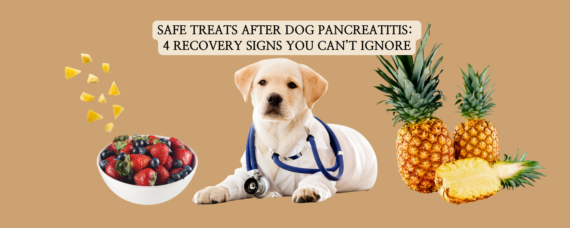 A professional guide thumbnail featuring a puppy with a stethoscope, fresh pineapples, and a bowl of berries, titled Safe Treats After Dog Pancreatitis: 4 Recovery Signs You Can’t Ignore.
