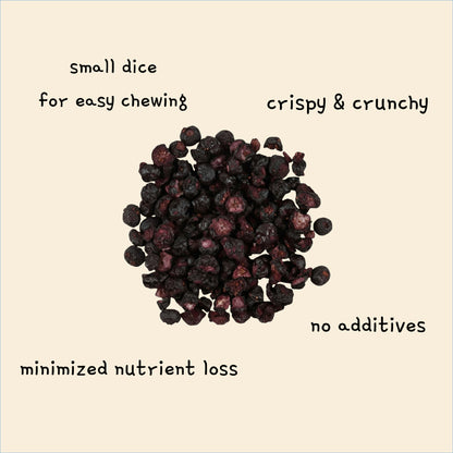 smoothie bites Blueberry