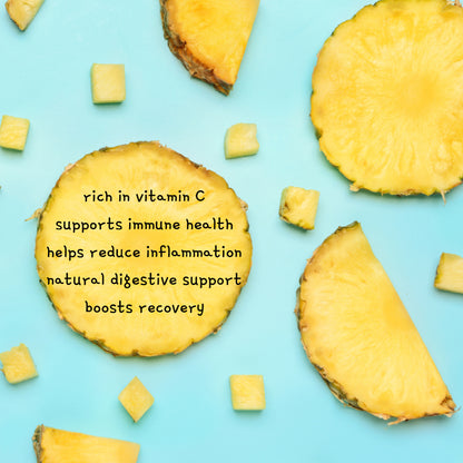 smoothie bites Pineapple, freeze dried tiny bites pet sweets lab