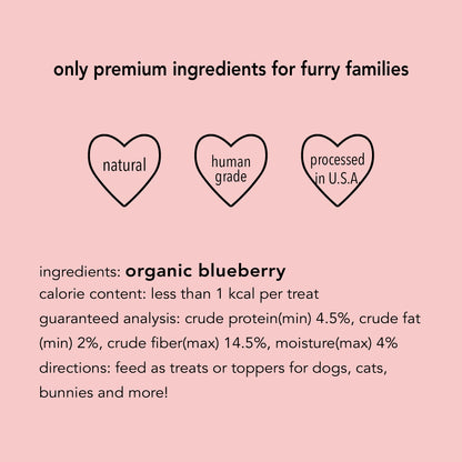 smoothie bites Blueberry, freeze dried tiny bites