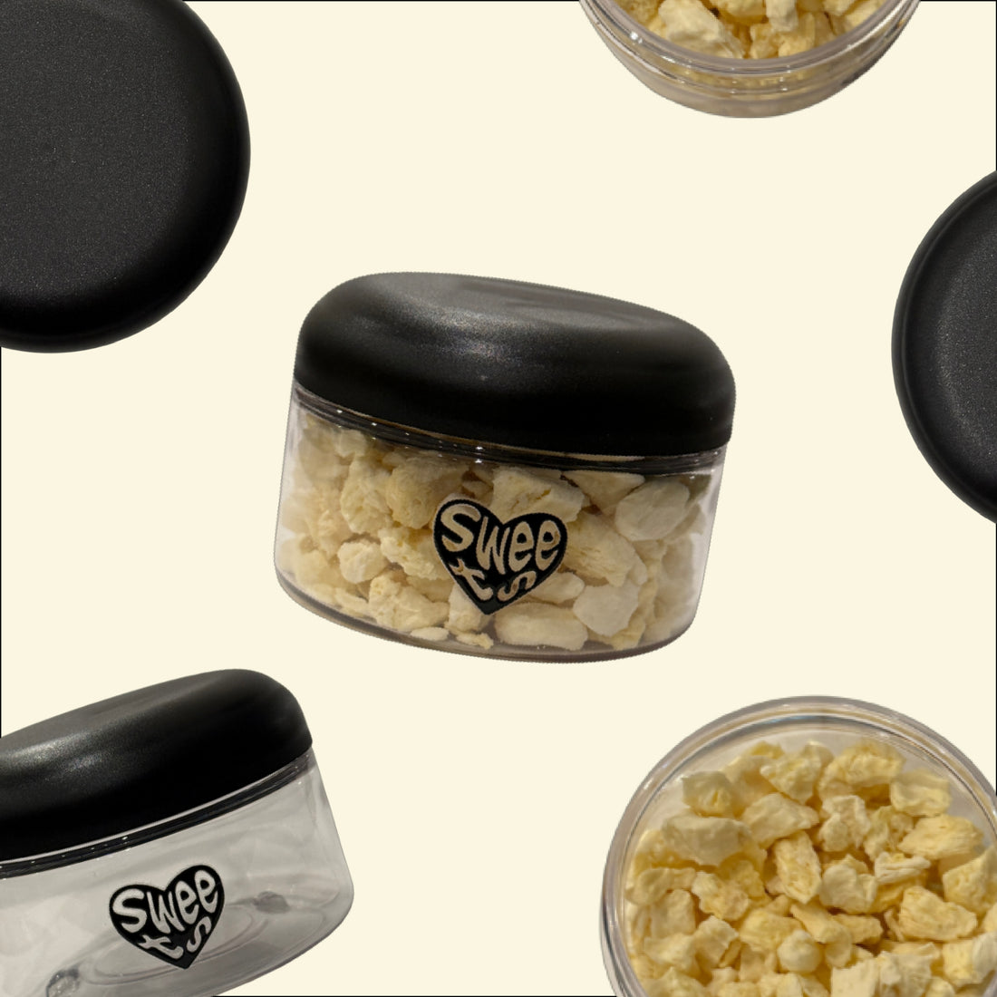 On-the-Go Treat Pod pet sweets lab