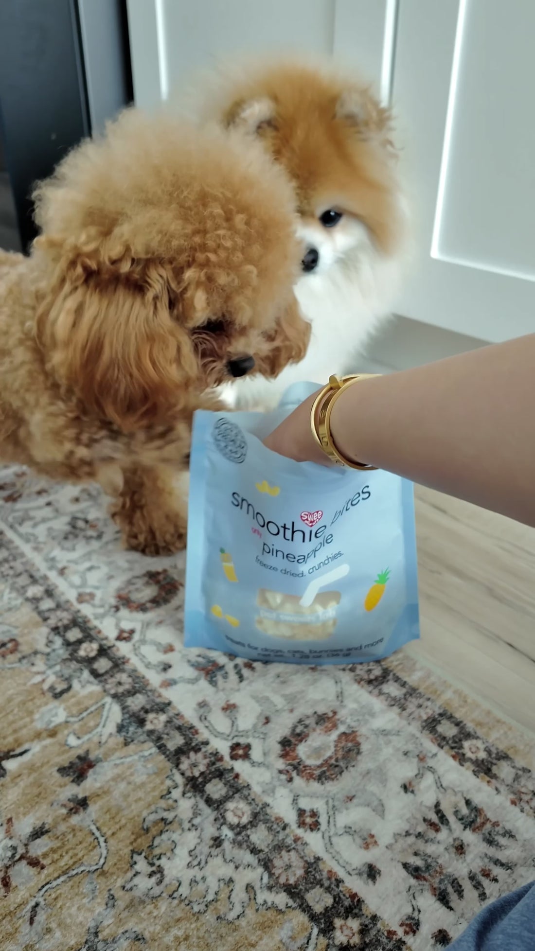 smoothie bites Pineapple, freeze dried tiny bites